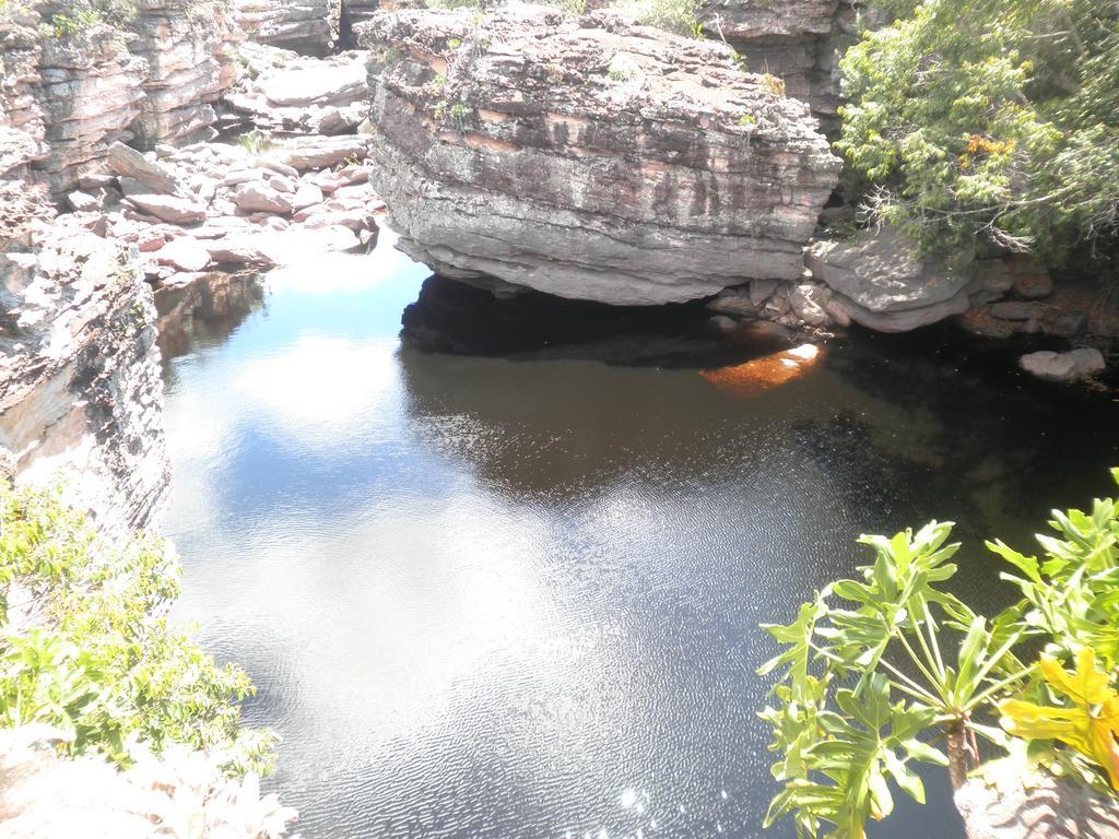 Flor De Araca